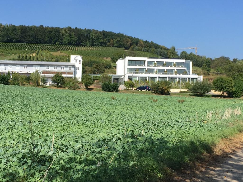 Hotel Heitlinger Hof à Tiefenbach  Extérieur photo